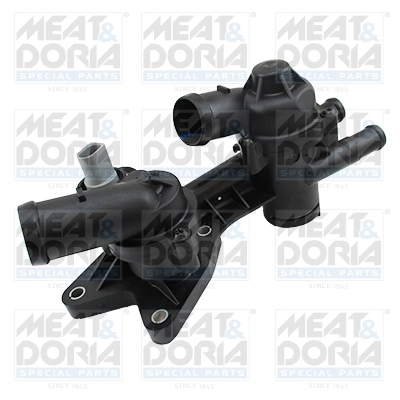 Thermostat, coolant